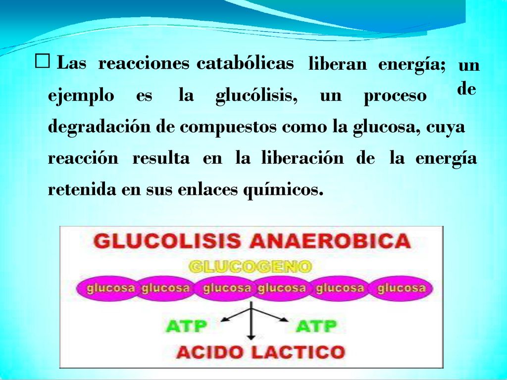 degradación de compuestos como la glucosa, cuya reacción resulta en