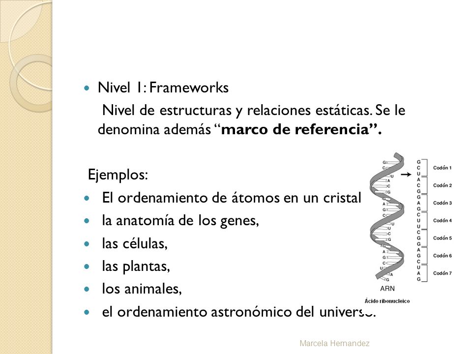 El ordenamiento de átomos en un cristal, la anatomía de los genes,