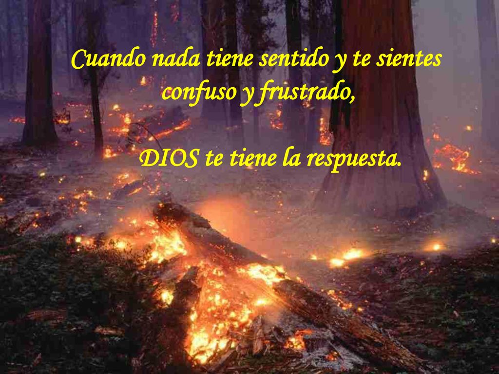 Cuando nada tiene sentido y te sientes confuso y frustrado, DIOS te tiene la respuesta.