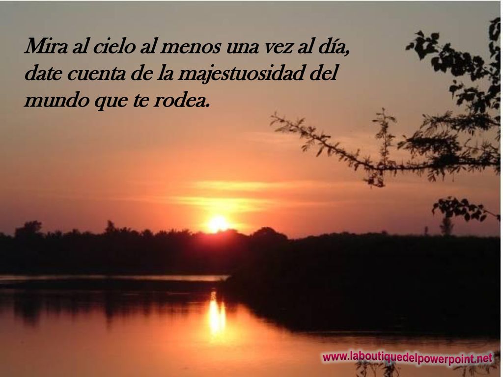Mira al cielo al menos una vez al día, date cuenta de la majestuosidad del mundo que te rodea.