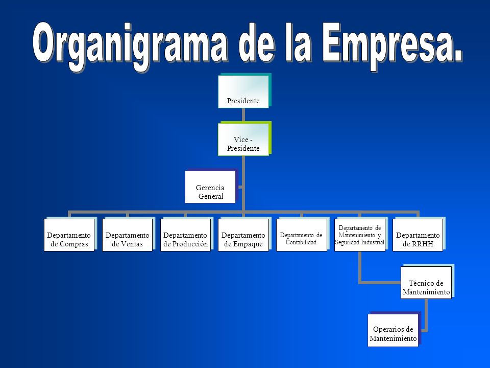Organigrama de la Empresa.