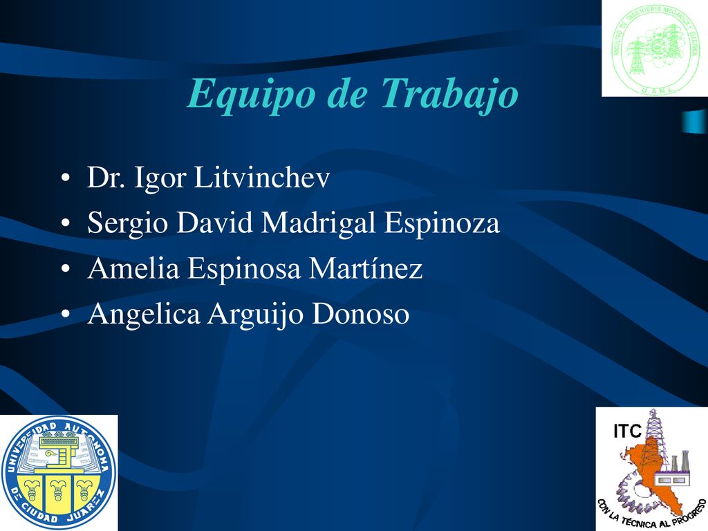 Equipo de Trabajo Dr. Igor Litvinchev Sergio David Madrigal Espinoza