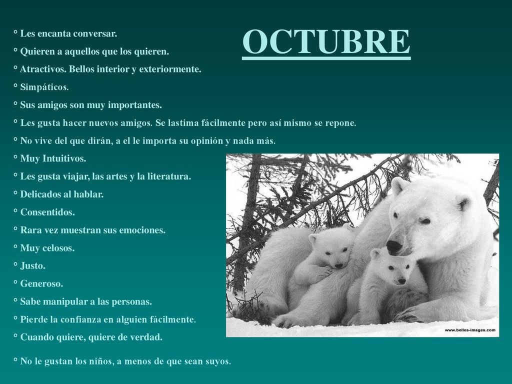 OCTUBRE ° Les encanta conversar. ° Quieren a aquellos que los quieren.