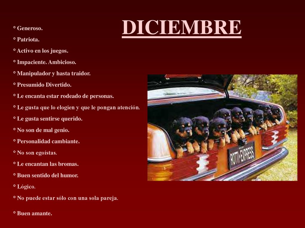 DICIEMBRE ° Generoso. ° Patriota. ° Activo en los juegos.