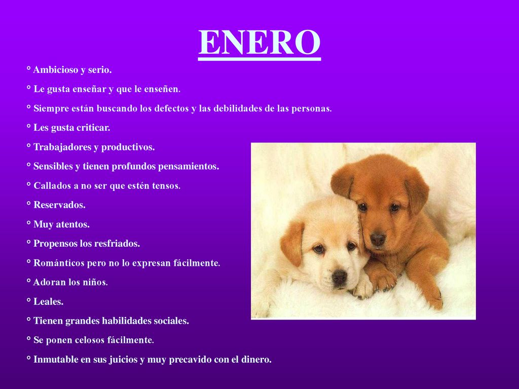 ENERO ° Ambicioso y serio. ° Le gusta enseñar y que le enseñen.