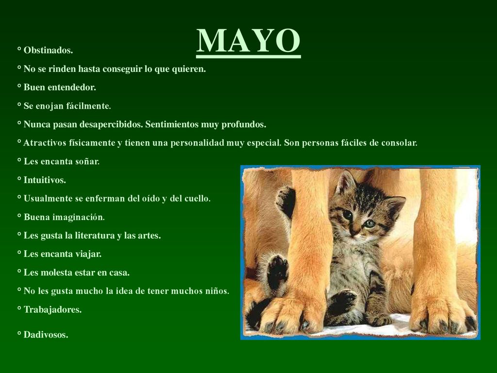 MAYO ° Obstinados. ° No se rinden hasta conseguir lo que quieren.