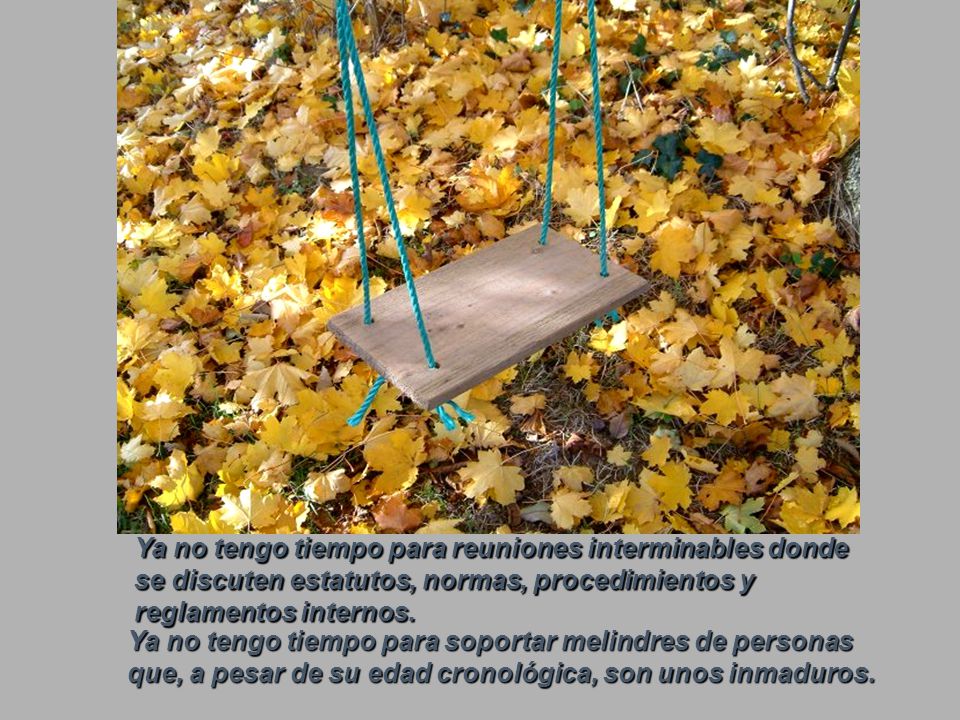 Ya no tengo tiempo para reuniones interminables donde se discuten estatutos, normas, procedimientos y reglamentos internos.