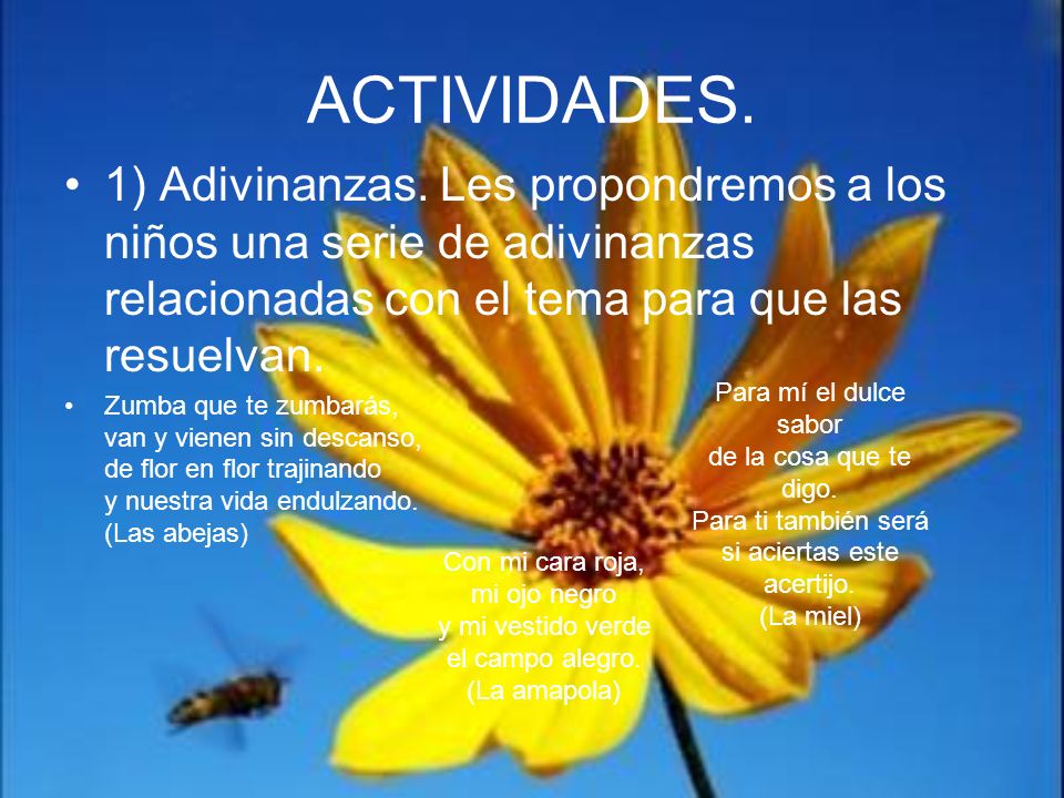 ACTIVIDADES. 1) Adivinanzas. Les propondremos a los niños una serie de adivinanzas relacionadas con el tema para que las resuelvan.