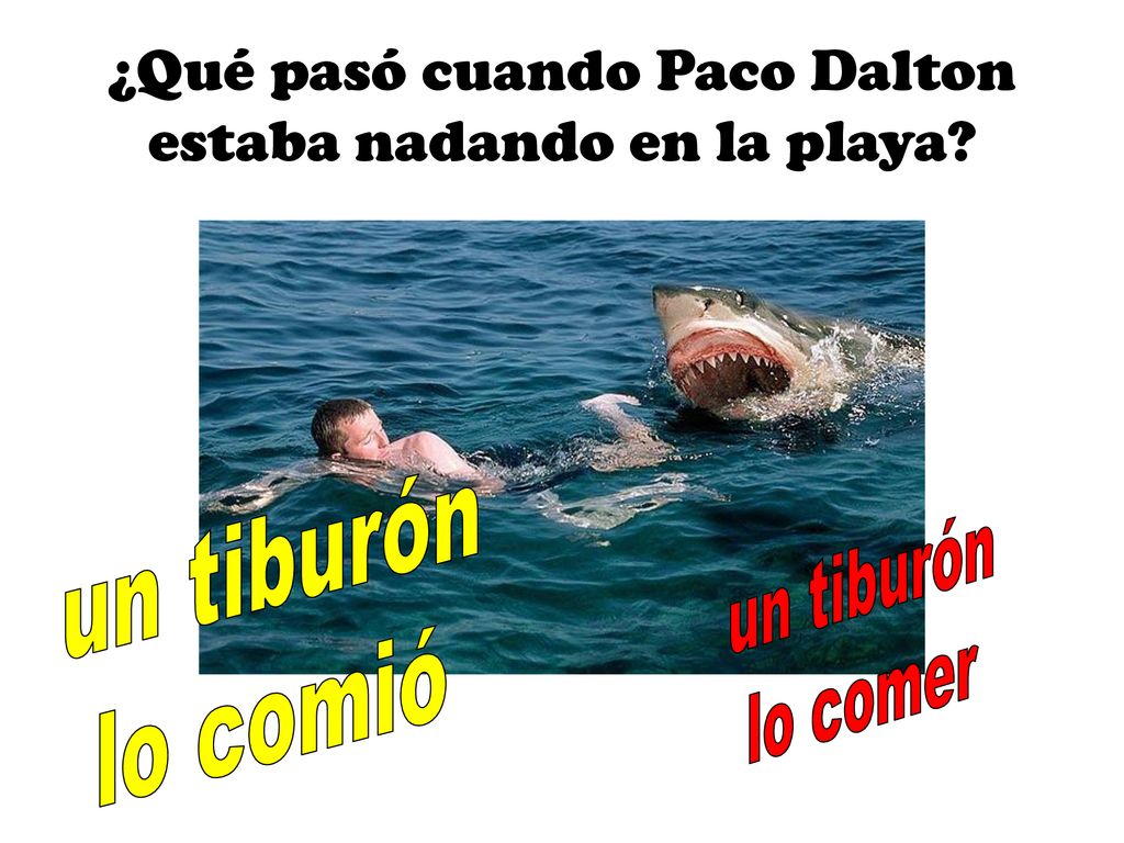 ¿Qué pasó cuando Paco Dalton estaba nadando en la playa