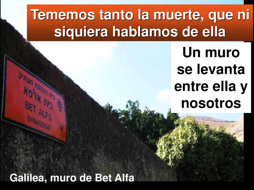 Tememos tanto la muerte, que ni siquiera hablamos de ella