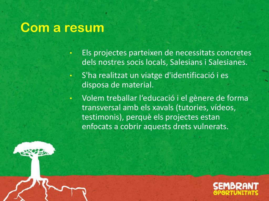 Com a resum Els projectes parteixen de necessitats concretes dels nostres socis locals, Salesians i Salesianes.
