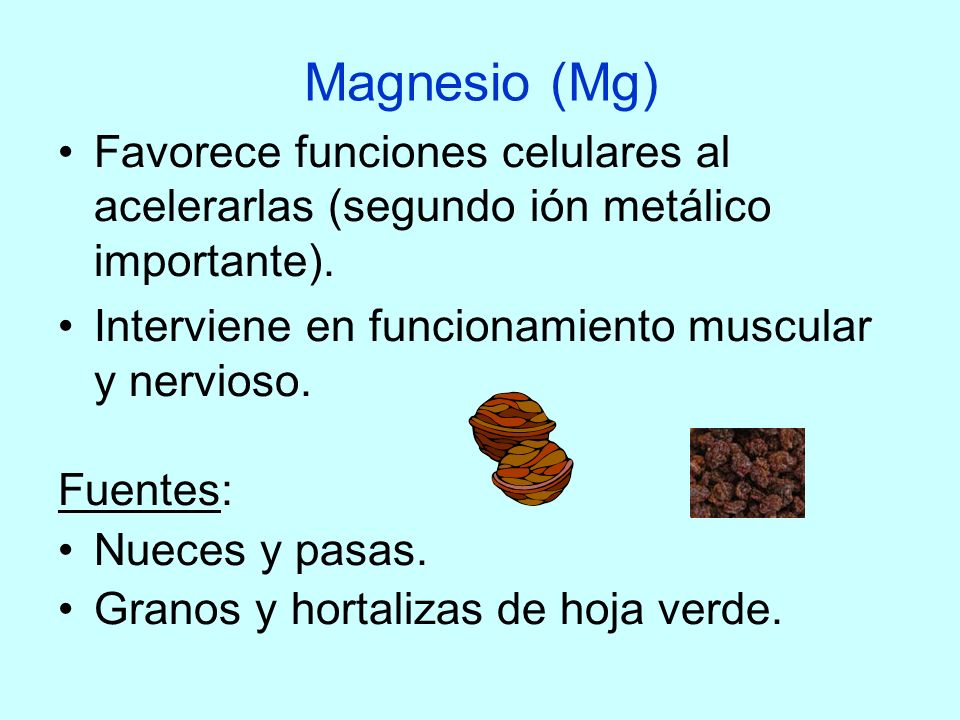 Magnesio (Mg) Favorece funciones celulares al acelerarlas (segundo ión metálico importante). Interviene en funcionamiento muscular y nervioso.