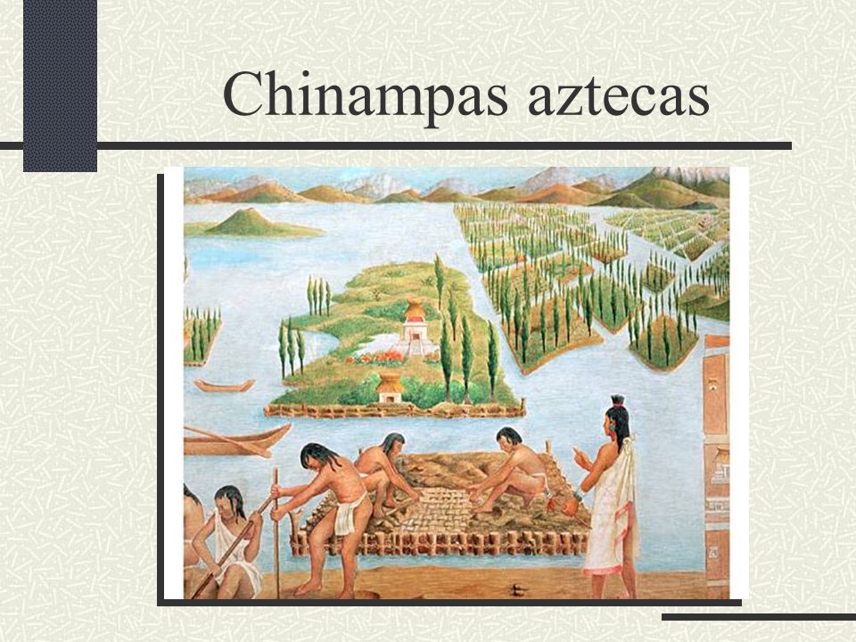 Chinampas aztecas