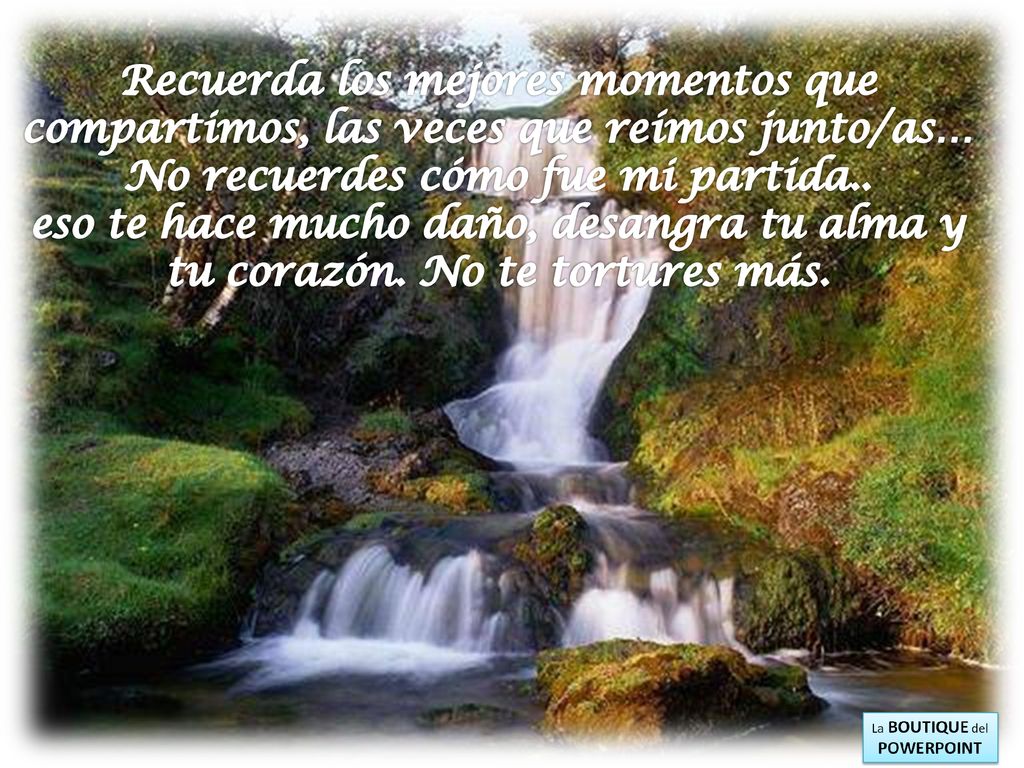 Recuerda los mejores momentos que compartimos, las veces que reímos junto/as… No recuerdes cómo fue mi partida..