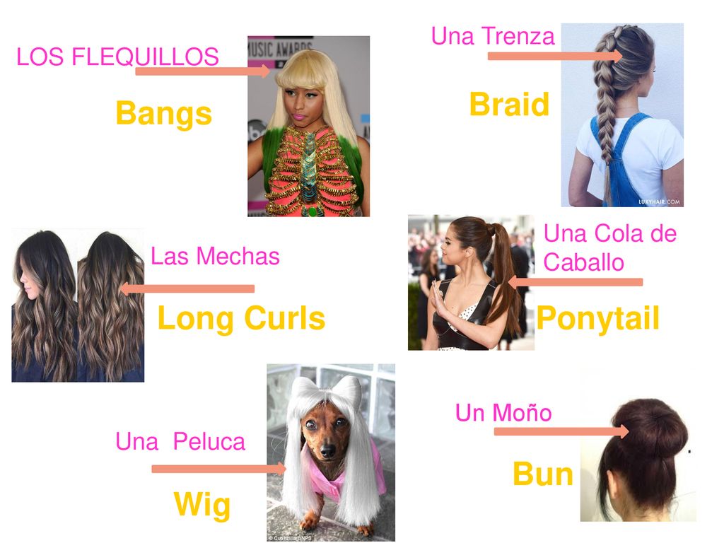 Braid Bangs Long Curls Ponytail Bun Wig Una Trenza LOS FLEQUILLOS