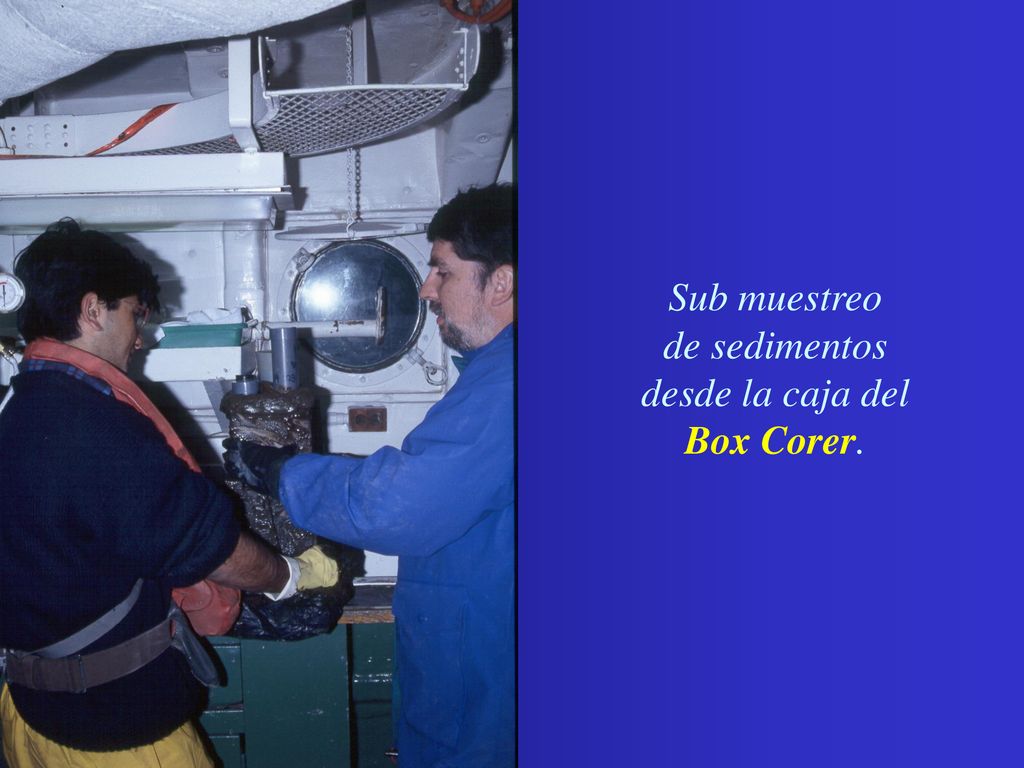 Sub muestreo de sedimentos desde la caja del Box Corer.