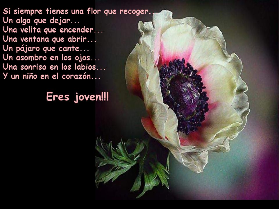 Si siempre tienes una flor que recoger. Un algo que dejar
