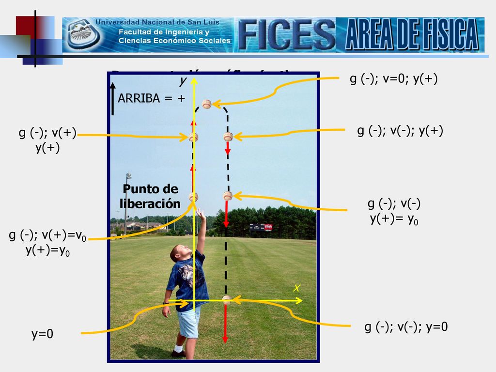 AREA DE FISICA Representación gráfica (v-t) g (-); v=0; y(+) y