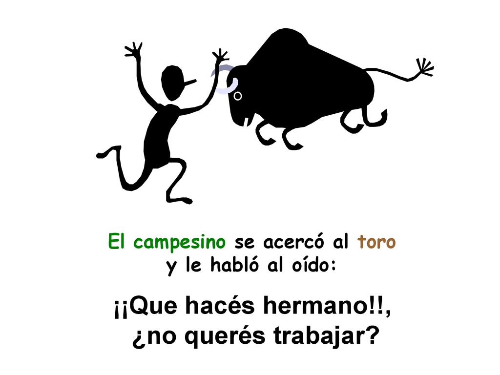 El campesino se acercó al toro y le habló al oído: