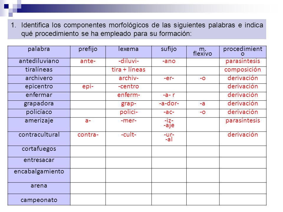 Identifica los componentes morfológicos de las siguientes palabras e indica qué procedimiento se ha empleado para su formación: