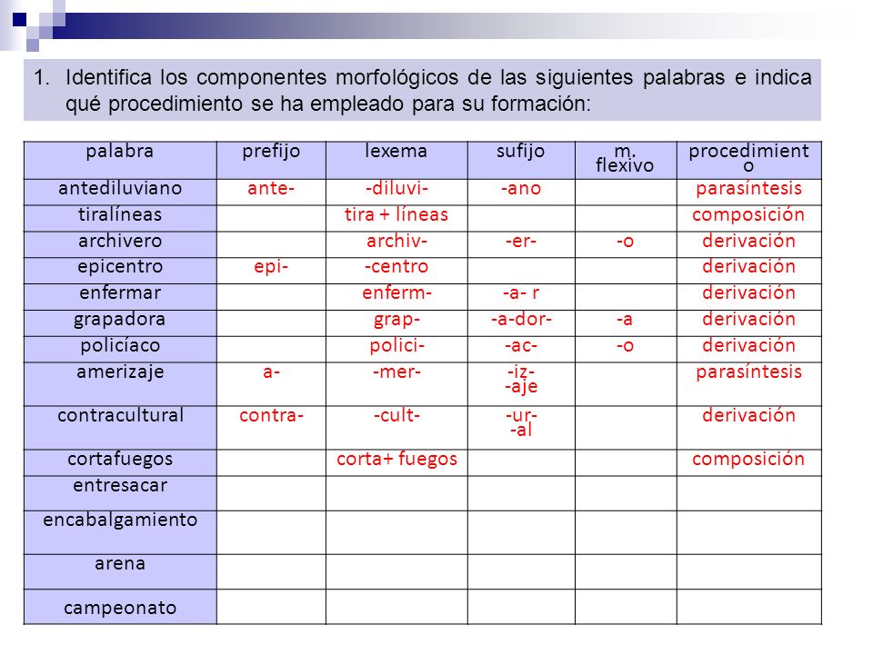 Identifica los componentes morfológicos de las siguientes palabras e indica qué procedimiento se ha empleado para su formación: