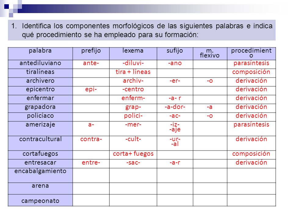 Identifica los componentes morfológicos de las siguientes palabras e indica qué procedimiento se ha empleado para su formación: