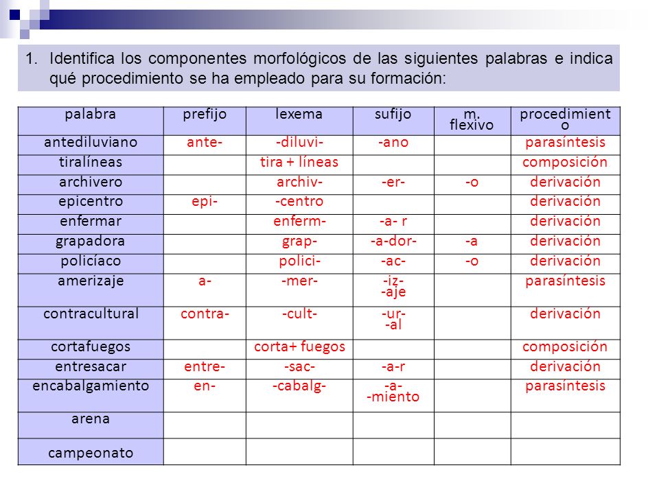 Identifica los componentes morfológicos de las siguientes palabras e indica qué procedimiento se ha empleado para su formación: