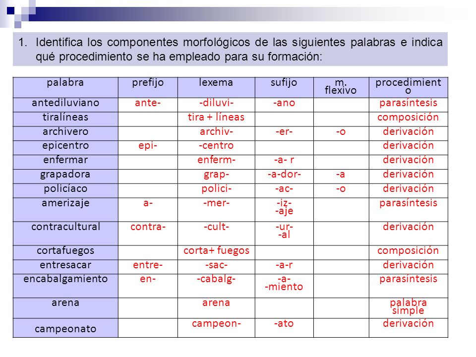 Identifica los componentes morfológicos de las siguientes palabras e indica qué procedimiento se ha empleado para su formación: