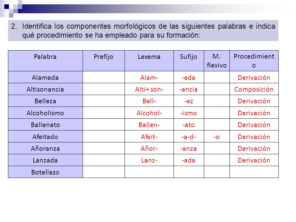 Identifica los componentes morfológicos de las siguientes palabras e indica qué procedimiento se ha empleado para su formación: