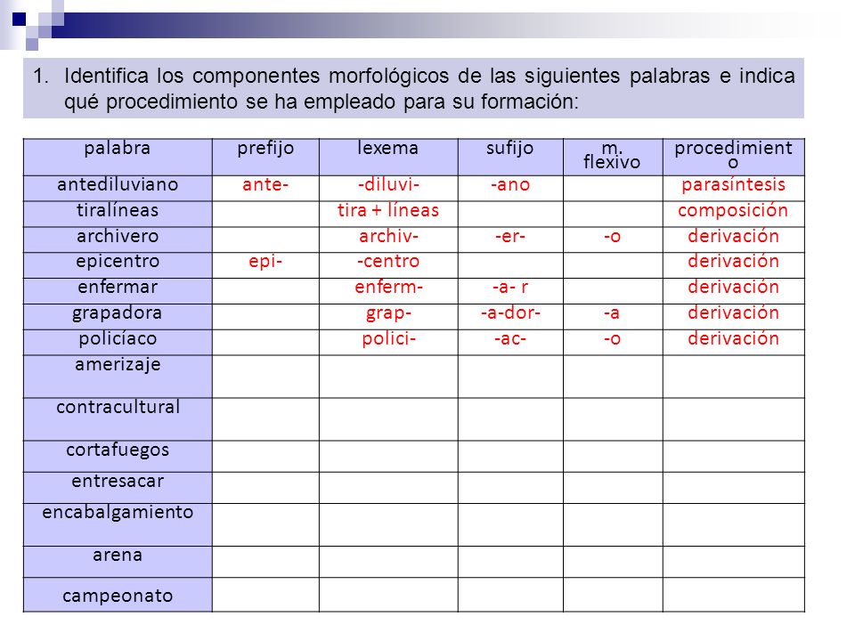 Identifica los componentes morfológicos de las siguientes palabras e indica qué procedimiento se ha empleado para su formación: