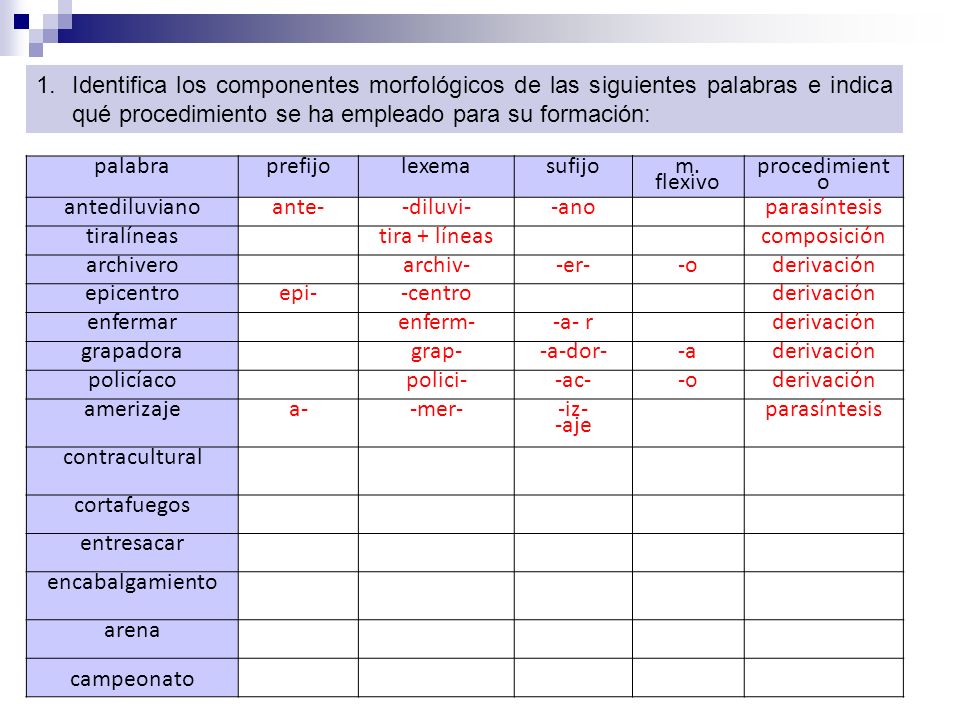 Identifica los componentes morfológicos de las siguientes palabras e indica qué procedimiento se ha empleado para su formación: