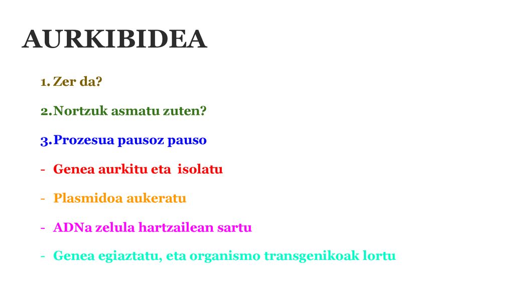 AURKIBIDEA Zer da Nortzuk asmatu zuten Prozesua pausoz pauso