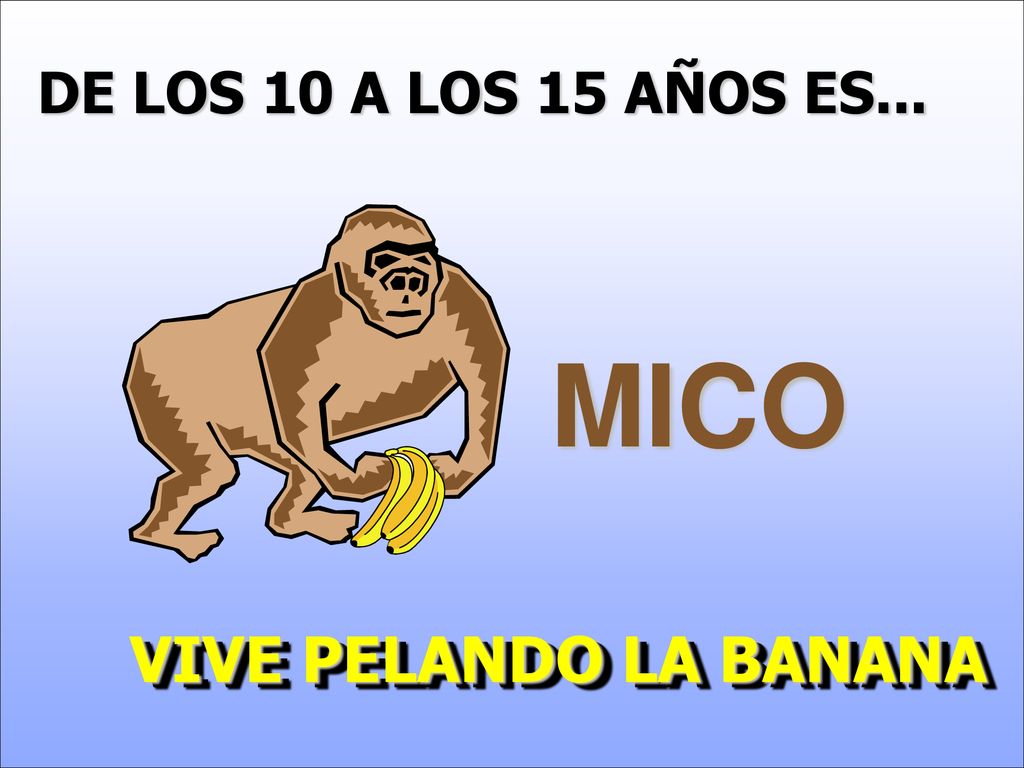 DE LOS 10 A LOS 15 AÑOS ES... MICO VIVE PELANDO LA BANANA