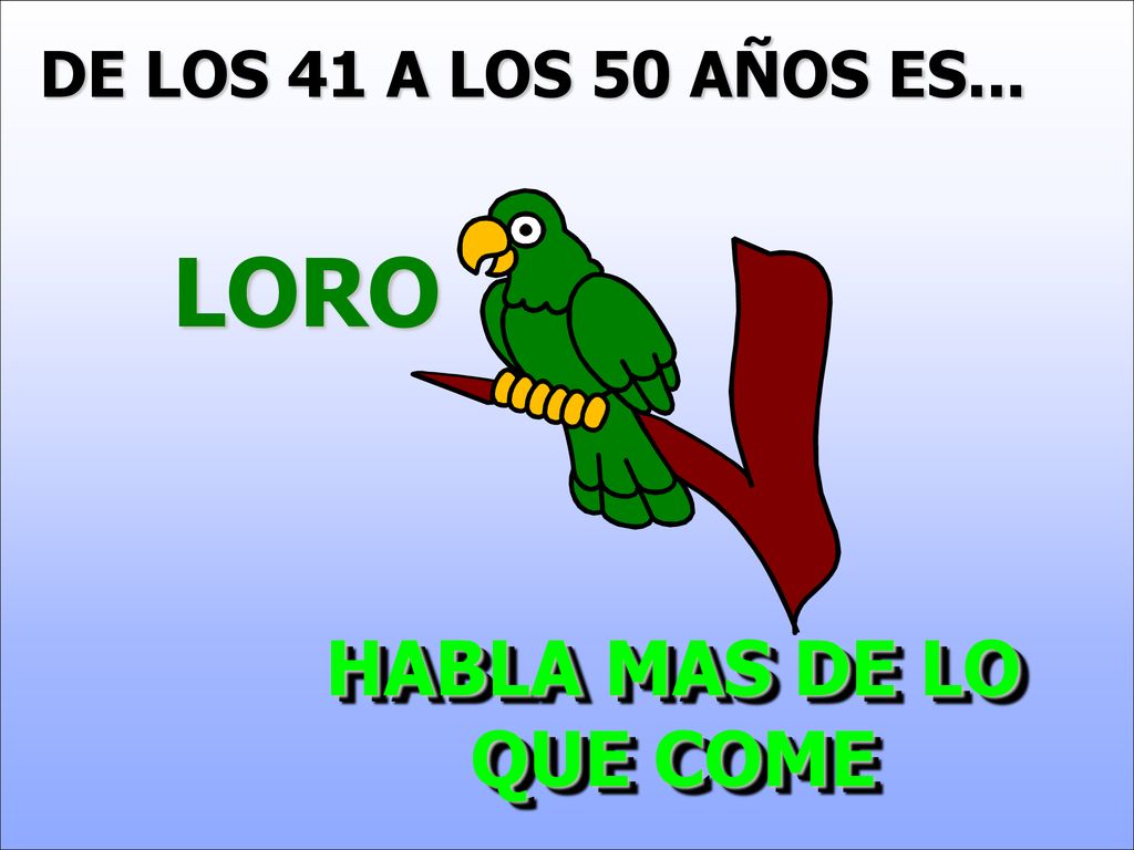 DE LOS 41 A LOS 50 AÑOS ES... LORO HABLA MAS DE LO QUE COME