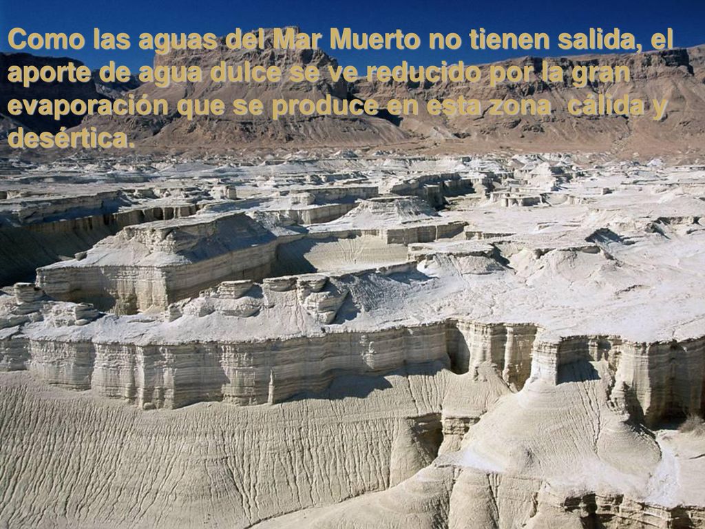 Como las aguas del Mar Muerto no tienen salida, el aporte de agua dulce se ve reducido por la gran evaporación que se produce en esta zona cálida y desértica.