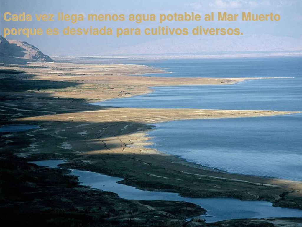 Cada vez llega menos agua potable al Mar Muerto porque es desviada para cultivos diversos.