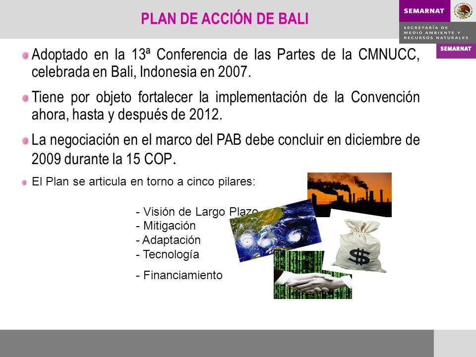 PLAN DE ACCIÓN DE BALI Adoptado en la 13ª Conferencia de las Partes de la CMNUCC, celebrada en Bali, Indonesia en