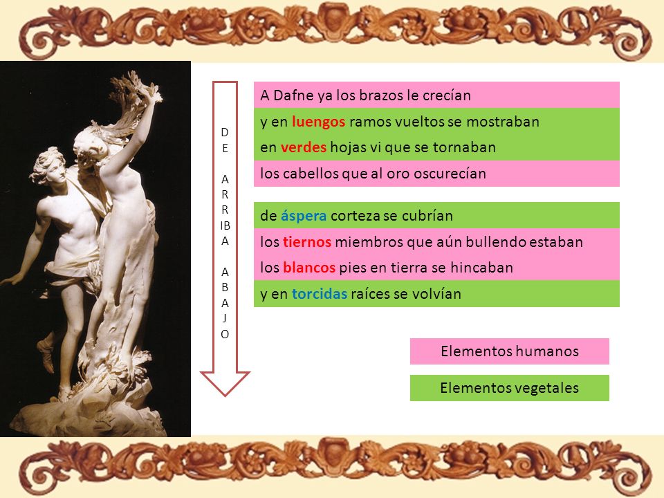 A Dafne ya los brazos le crecían A Dafne ya los brazos le crecían