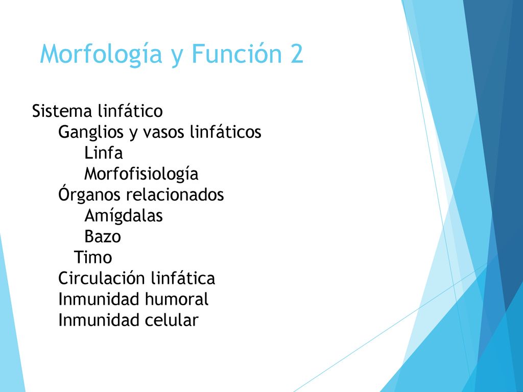 Morfología y Función 2 Sistema linfático Ganglios y vasos linfáticos