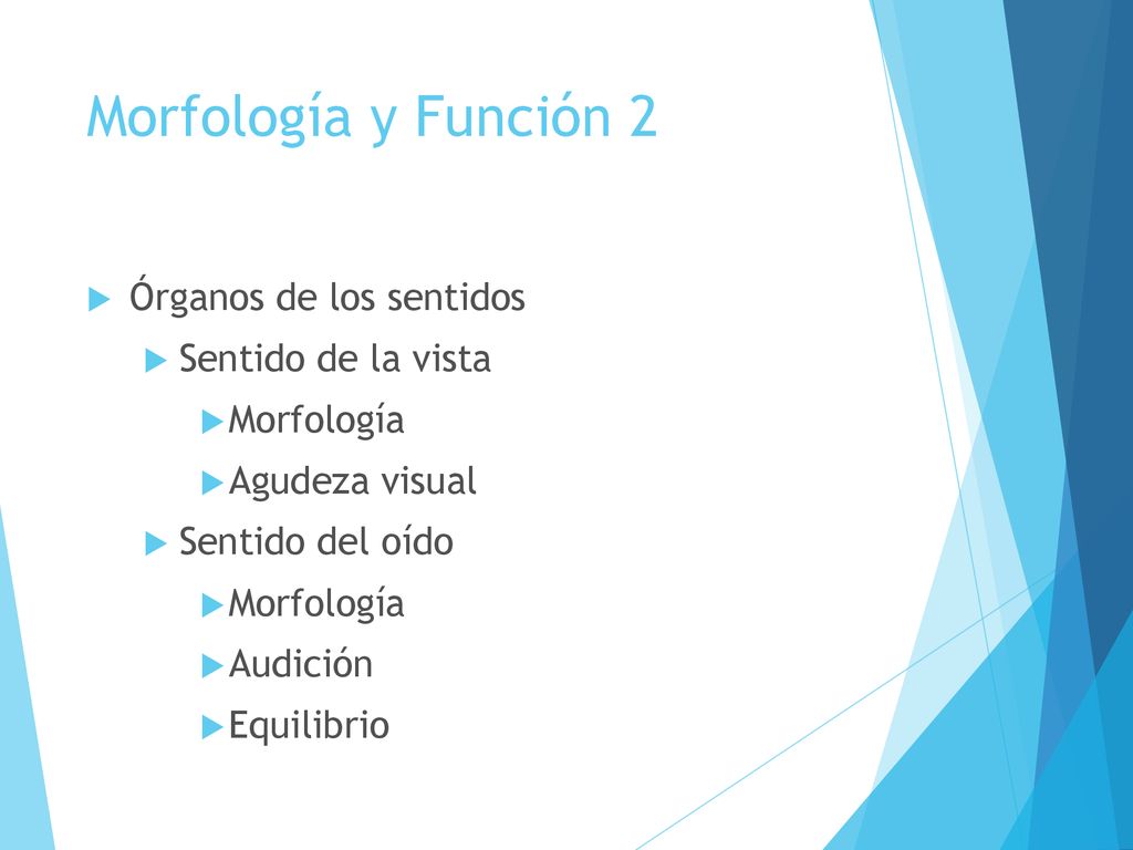 Morfología y Función 2 Órganos de los sentidos Sentido de la vista