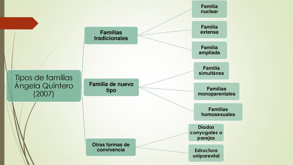 Tipos de familias Ángela Quintero (2007)