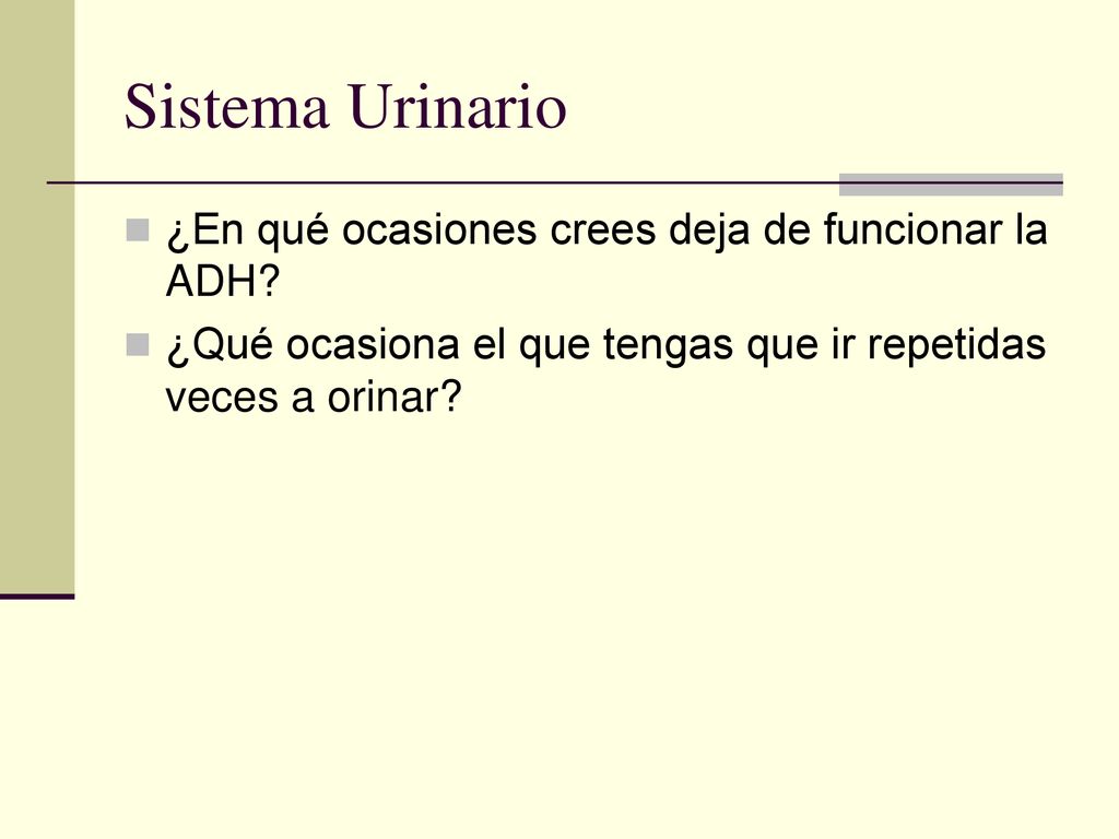 Sistema Urinario ¿En qué ocasiones crees deja de funcionar la ADH