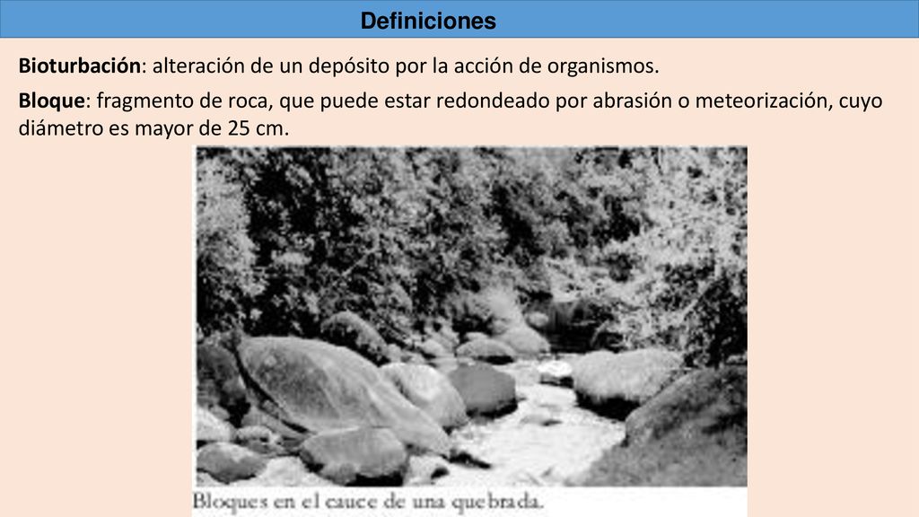 Definiciones Bioturbación: alteración de un depósito por la acción de organismos.