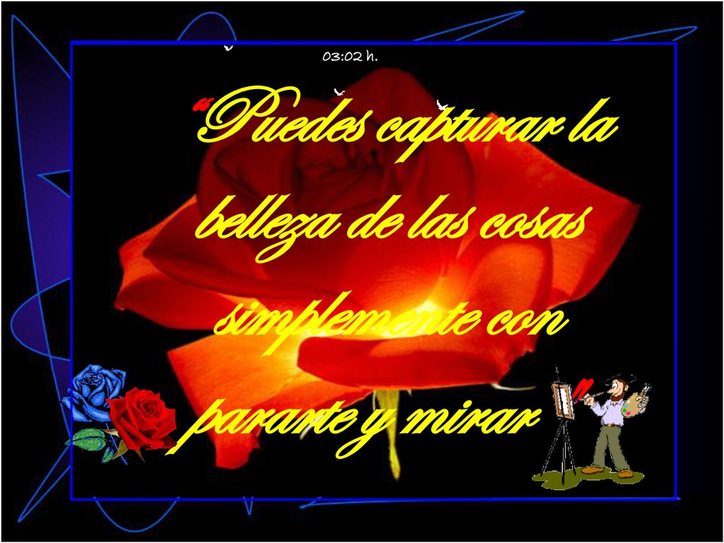 03:02 h. Puedes capturar la belleza de las cosas simplemente con pararte y mirar