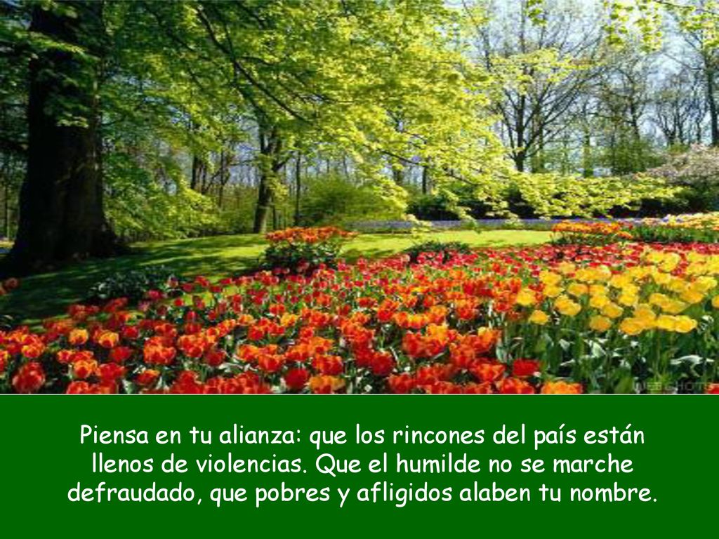 Piensa en tu alianza: que los rincones del país están llenos de violencias.