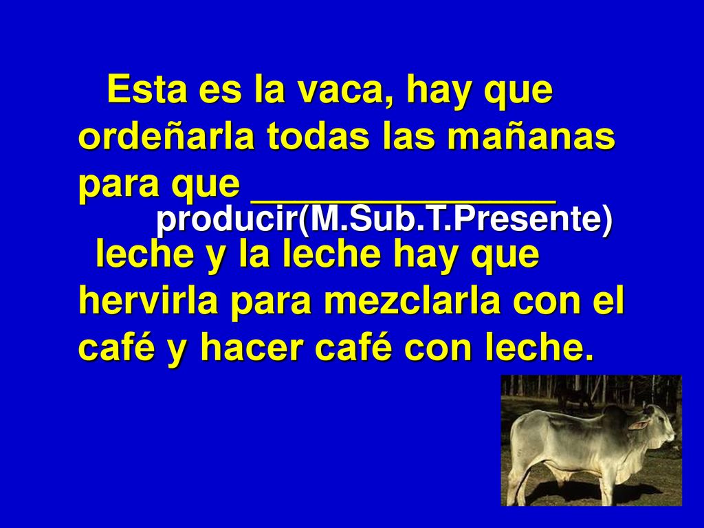 Esta es la vaca, hay que ordeñarla todas las mañanas para que ______________