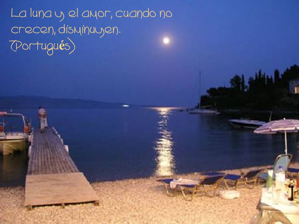 La luna y el amor, cuando no crecen, disminuyen. (Portugués)