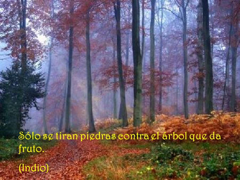 Sólo se tiran piedras contra el árbol que da fruto.