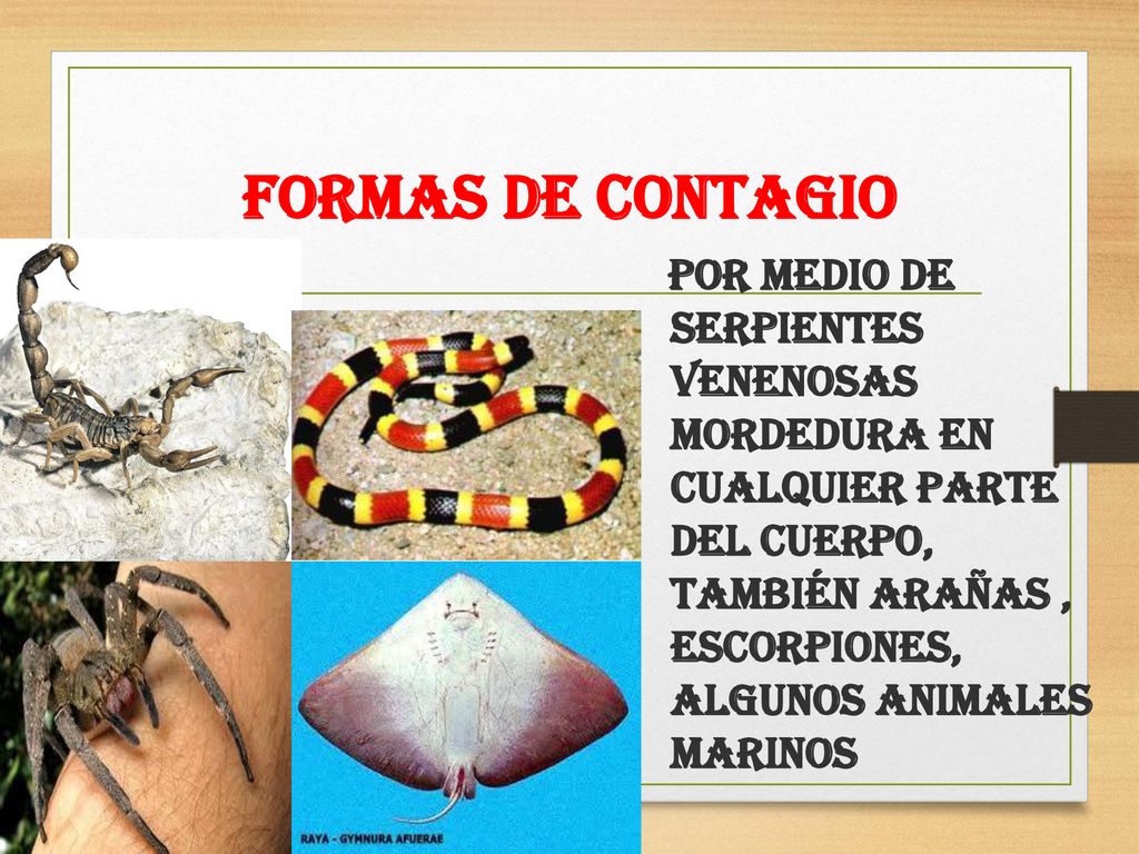Formas de contagio