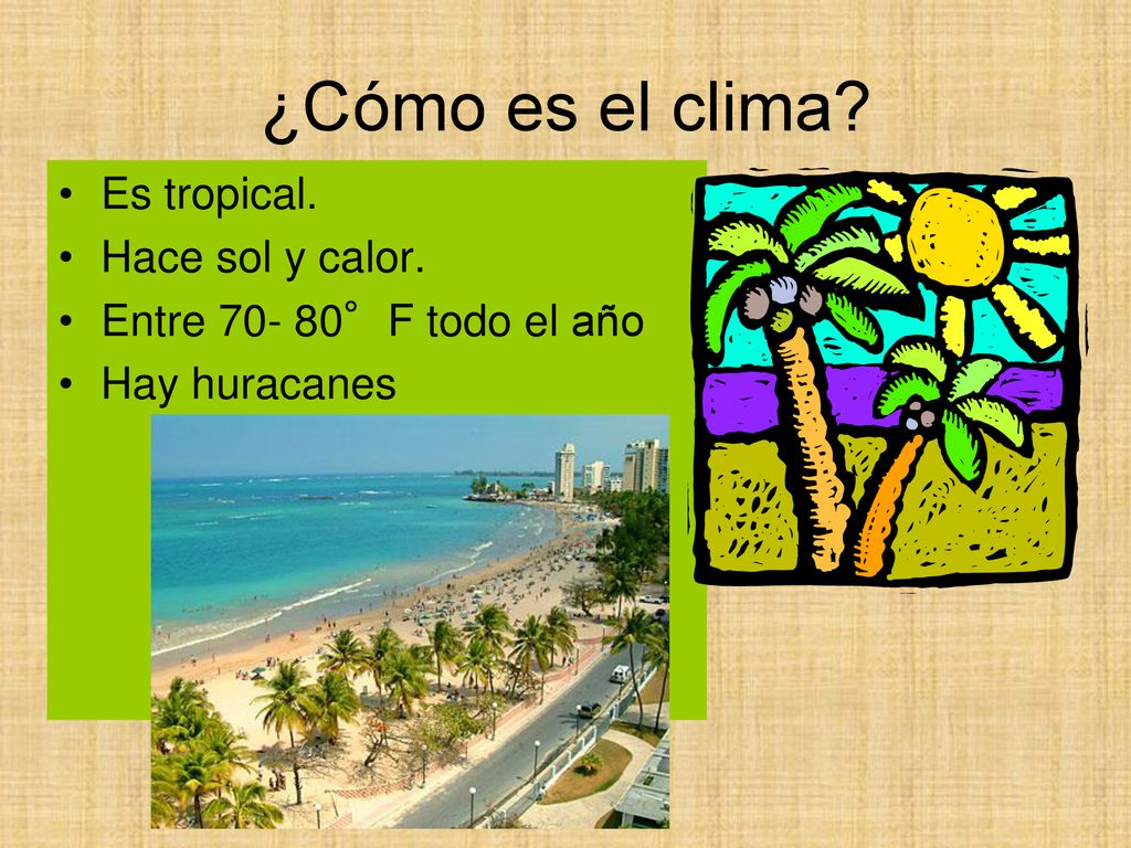 ¿Cómo es el clima Es tropical. Hace sol y calor.